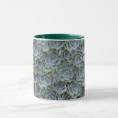 緑灰色の多肉植物ロゼット マグカップ (中央)