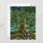 緑生命の樹 ポストカード (正面/裏面)