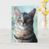 緑目のタビー猫の白いグリーティングカード カード (黄色い花)