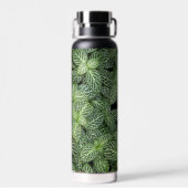 緑神経植物離れフローラ ウォーターボトル (背面)