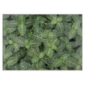 緑神経植物離れフローラ カッティングボード (正面)