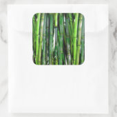 緑竹茎自然撮影 スクエアシール (バッグ)