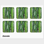 緑竹茎自然撮影 スクエアシール (シート)