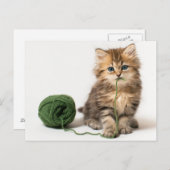 緑糸付き子猫 ポストカード (正面/裏面)