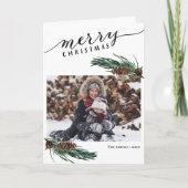 緑素朴松コーンバウ水カラーフローラ シーズンカード (正面)