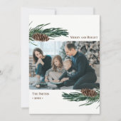 緑素朴松コーンバウ水カラーフローラ シーズンカード (正面)