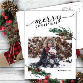 緑素朴松コーンバウ水カラーフローラ シーズンポストカード