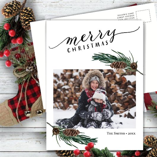 緑素朴松コーンバウ水カラーフローラ シーズンポストカード