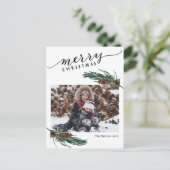 緑素朴松コーンバウ水カラーフローラ シーズンポストカード (スタンド正面)