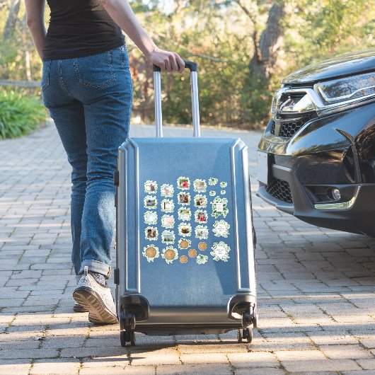 緑素朴色の写真ウェディングプランナージャーナル文字 シール (スーツケースインサイチュ)