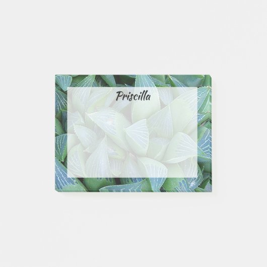 緑腐敗多肉植物カスタムステッキ ポストイット (正面)