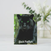 緑色お洒落の目を持つ黒猫ヒョウ ポストカード (スタンド正面)