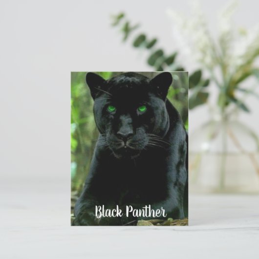 緑色お洒落の目を持つ黒猫ヒョウ ポストカード (スタンド正面)