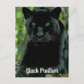 緑色お洒落の目を持つ黒猫ヒョウ ポストカード (正面)