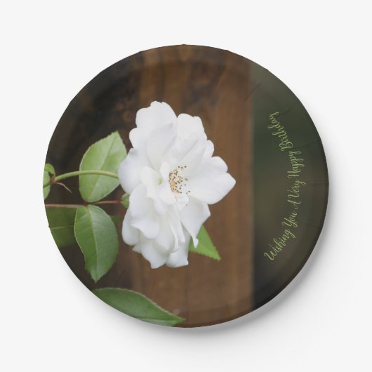 緑色かわいらしの白と茶色のフローラ ペーパープレート (正面)