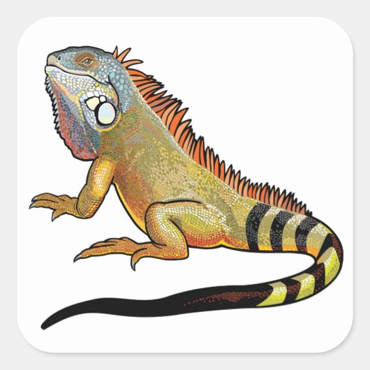 緑色のイグアナ スクエアシール (正面)