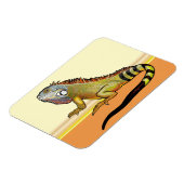 緑色のイグアナ マグネット (左側)