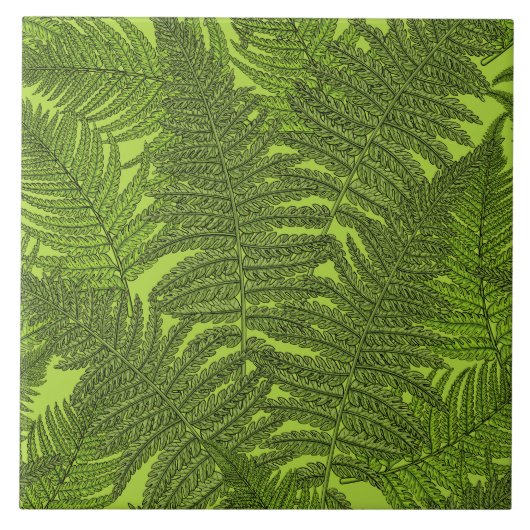 緑色のシダ タイル (正面)