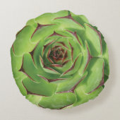 緑色の多肉性サボテン春花 ラウンドクッション (裏面)