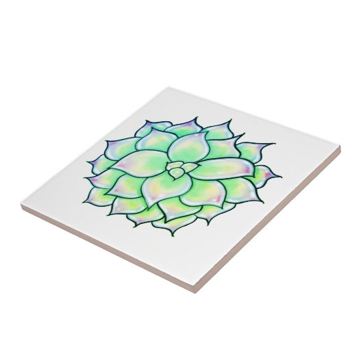 緑色の多肉質 タイル (側面)