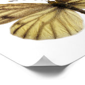 緑色の白い蝶の葉書の孤立 ポスター (角)