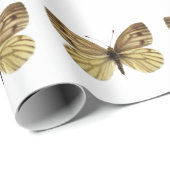 緑色の白い蝶の葉書の孤立 ラッピングペーパー (ロールコーナー)