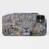 緑色の目の熟視のiPhone 5の穹窖の箱 Case-Mate iPhoneケース (裏面(横))