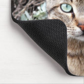 緑色の目の虎猫猫のmousepad マウスパッド (コーナー)