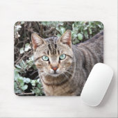 緑色の目の虎猫猫のmousepad マウスパッド (マウス)