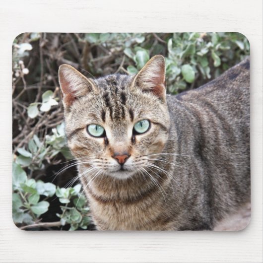 緑色の目の虎猫猫のmousepad マウスパッド (正面)