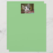 緑色の目をした可愛い子猫 (正面/裏面)