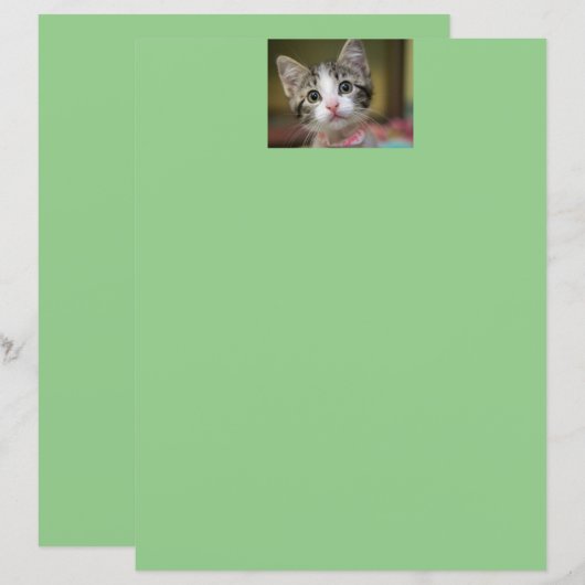 緑色の目をした可愛い子猫 (正面/裏面)