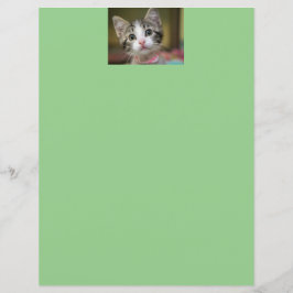 緑色の目をした可愛い子猫