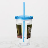 緑色の目をした可愛い子猫 アクリルタンブラー (右)