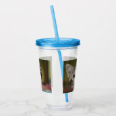 緑色の目をした可愛い子猫 アクリルタンブラー (左)