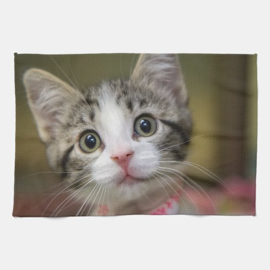 緑色の目をした可愛い子猫 キッチンタオル (横)
