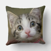 緑色の目をした可愛い子猫 クッション (裏面)