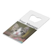 緑色の目をした可愛い子猫 クレジットカード栓抜き (正面アングル)