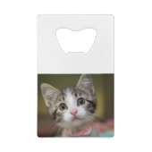 緑色の目をした可愛い子猫 クレジットカード栓抜き (裏面)