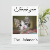 緑色の目をした可愛い子猫 サンキューカード (スタンド正面)