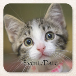 緑色の目をした可愛い子猫 スクエアペーパーコースター