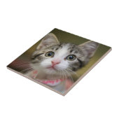 緑色の目をした可愛い子猫 タイル (側面)