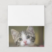 緑色の目をした可愛い子猫 プレイスカード (外部開封)