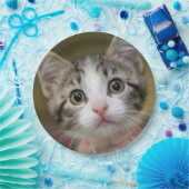 緑色の目をした可愛い子猫 ペーパープレート (パーティー)