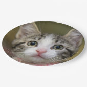 緑色の目をした可愛い子猫 ペーパープレート (アングル)