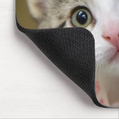 緑色の目をした可愛い子猫 マウスパッド (コーナー)