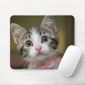 緑色の目をした可愛い子猫 マウスパッド (マウス)