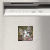 緑色の目をした可愛い子猫 マグネット (インサイチュ (食洗機))