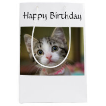 緑色の目をした可愛い子猫