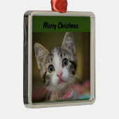 緑色の目をした可愛い子猫 メタルオーナメント (右)